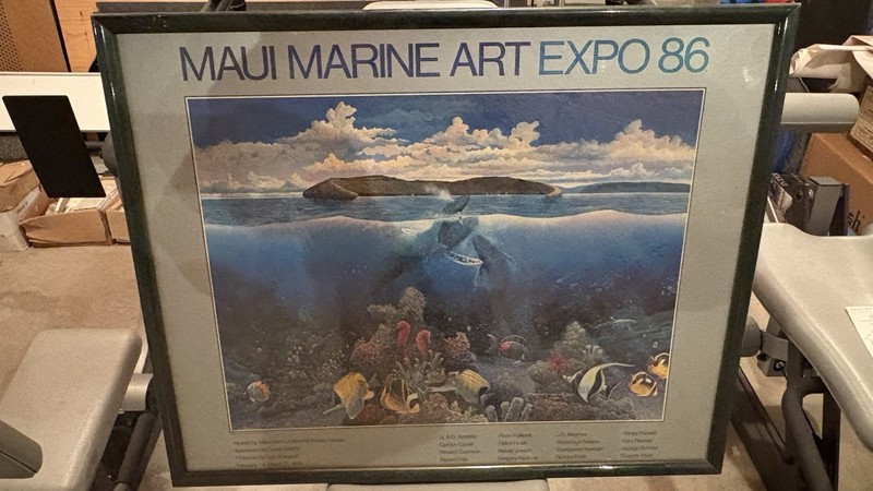 (2) Robert Lyn Nelson Maui Marine Art Framed Posters