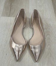 Elegant Metallic Flats