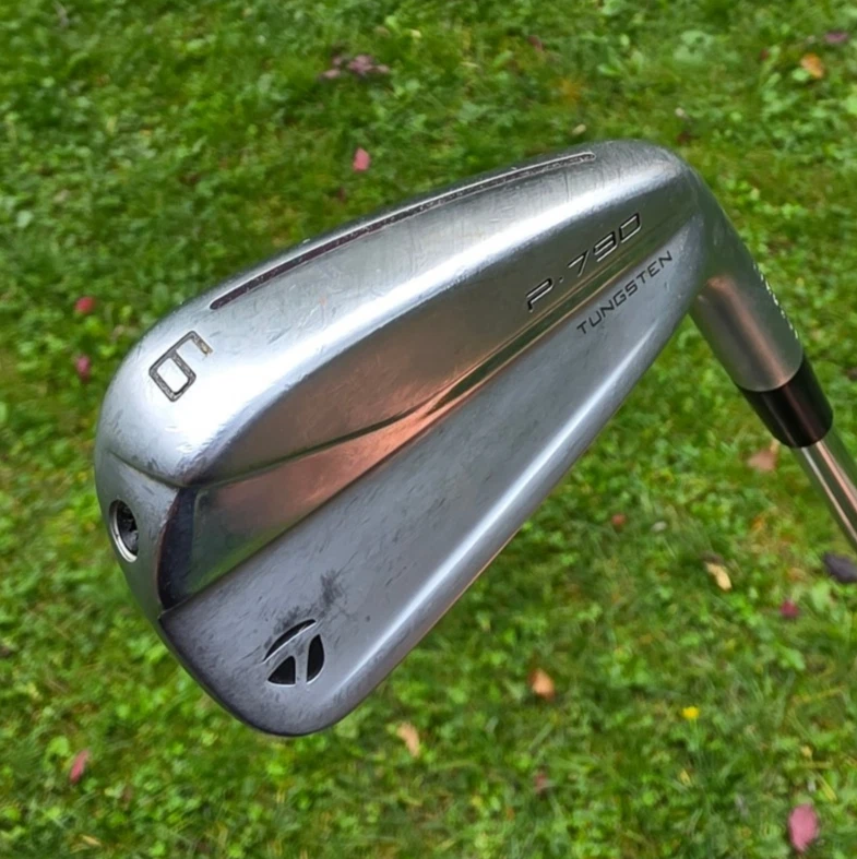 Taylormade P790 Eisen 6 (2022) - Dynamic Golf S300 Stiff Flex - Midsize Griff