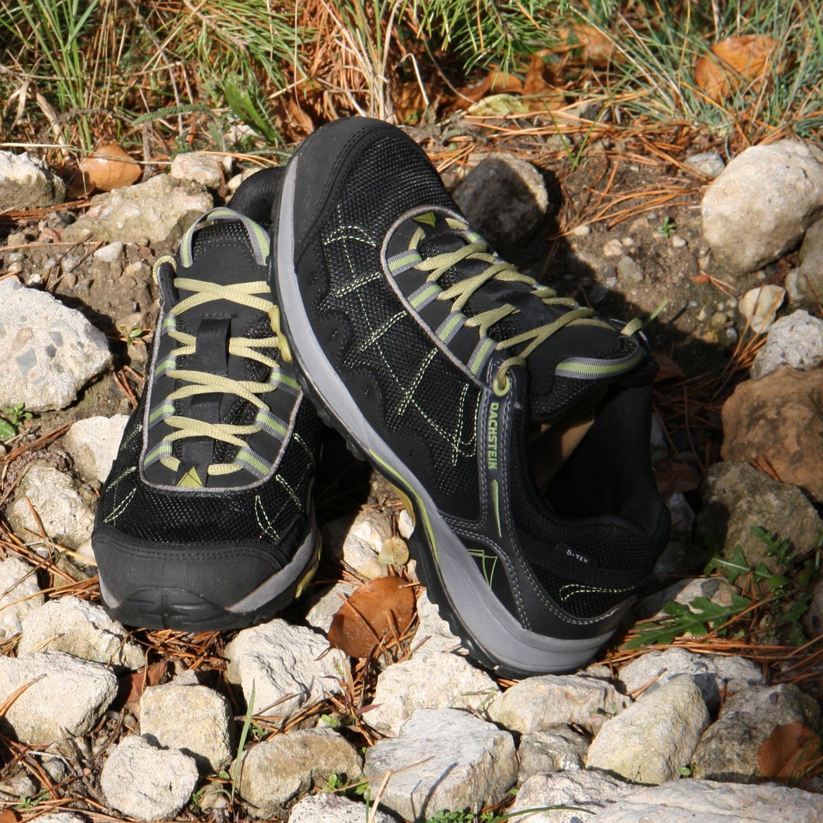 bergschuhe d