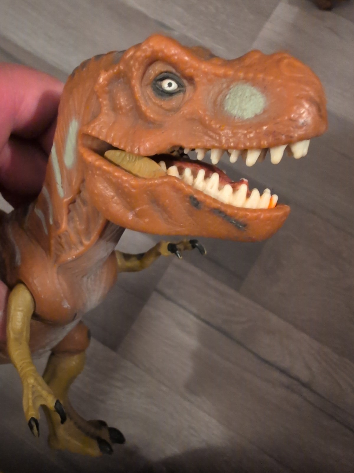 Picture 6 of 6