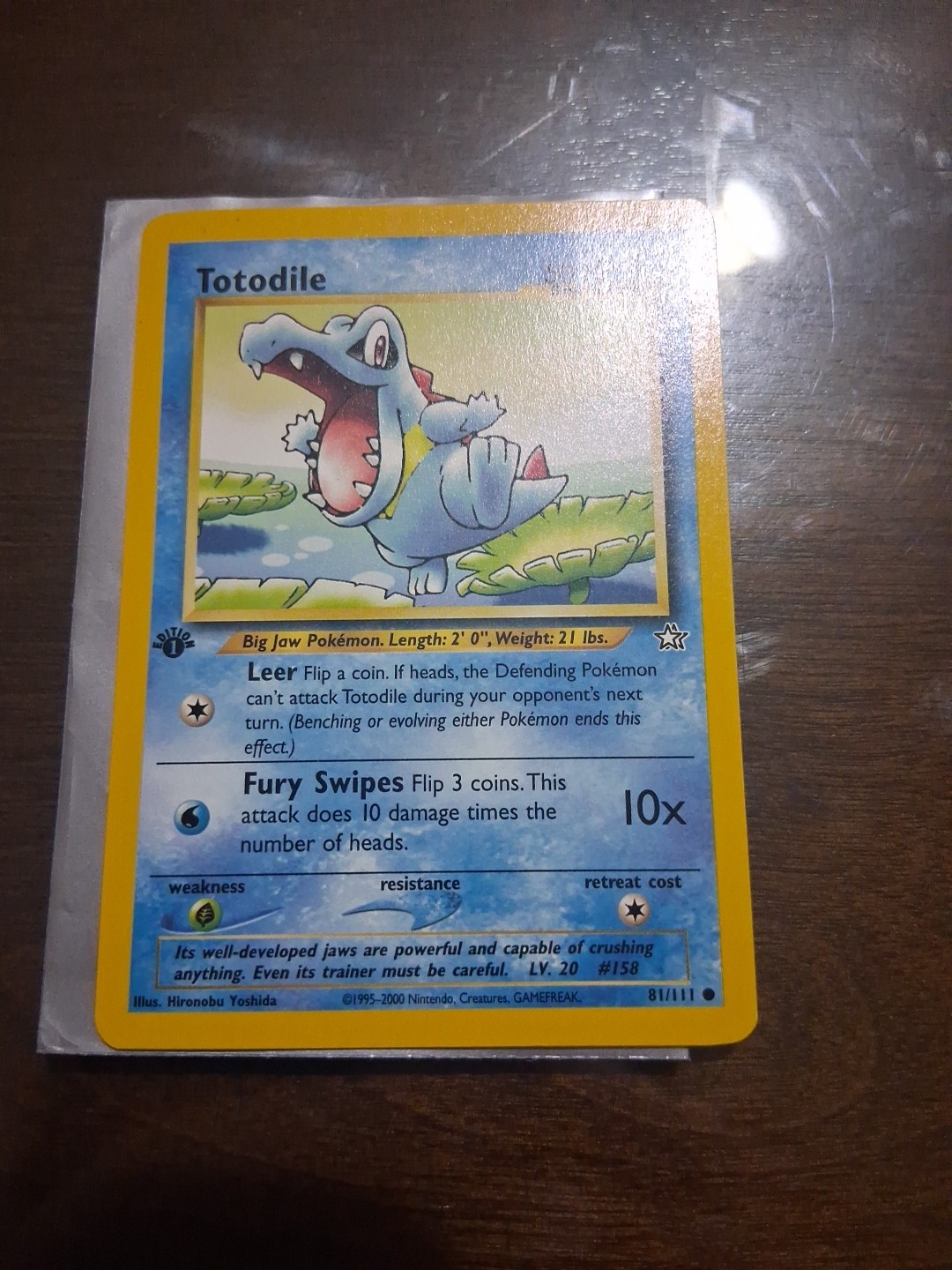 Pokemon - Neo Genesis - Totodile 81/111 - 1st Edition Condition NM