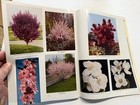 WAYSIDE 1959 vintage catalog MENTOR OHIO trees & plants/flowers — photo 3