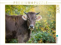 Calvendo Puzzle Brown Cattle On The Autumn Pasture | 1000 Pieces, Finished Size