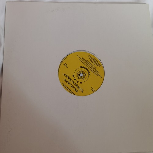 BALLY SAGOO ESSENTIALS RAGGA 12" VINYL RECORD LP PUNJABI BHANGRA RARE - Picture 2 of 6
