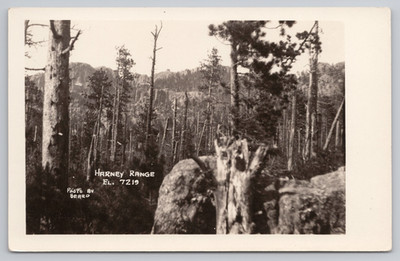 Harney Range RPPC ~ Beard Photo ~ Black Hills SD ~ Elevation 7219 Postcard