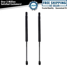 Trunk Lid Lift Support Shock Strut Set Fits 2002-2006 Acura RSX