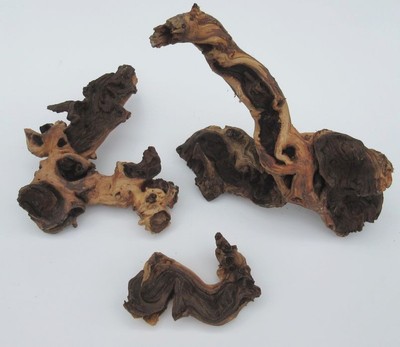 Mopani M 20-30cm - Eisenholz Wurzel Aquarium Terrarium Aquascape Holz Hardscape