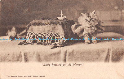 R303280 Little Bessies got the Mumps The Wrench Series No 1649 Photo Landor 1906