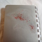 Picture 8 of 9