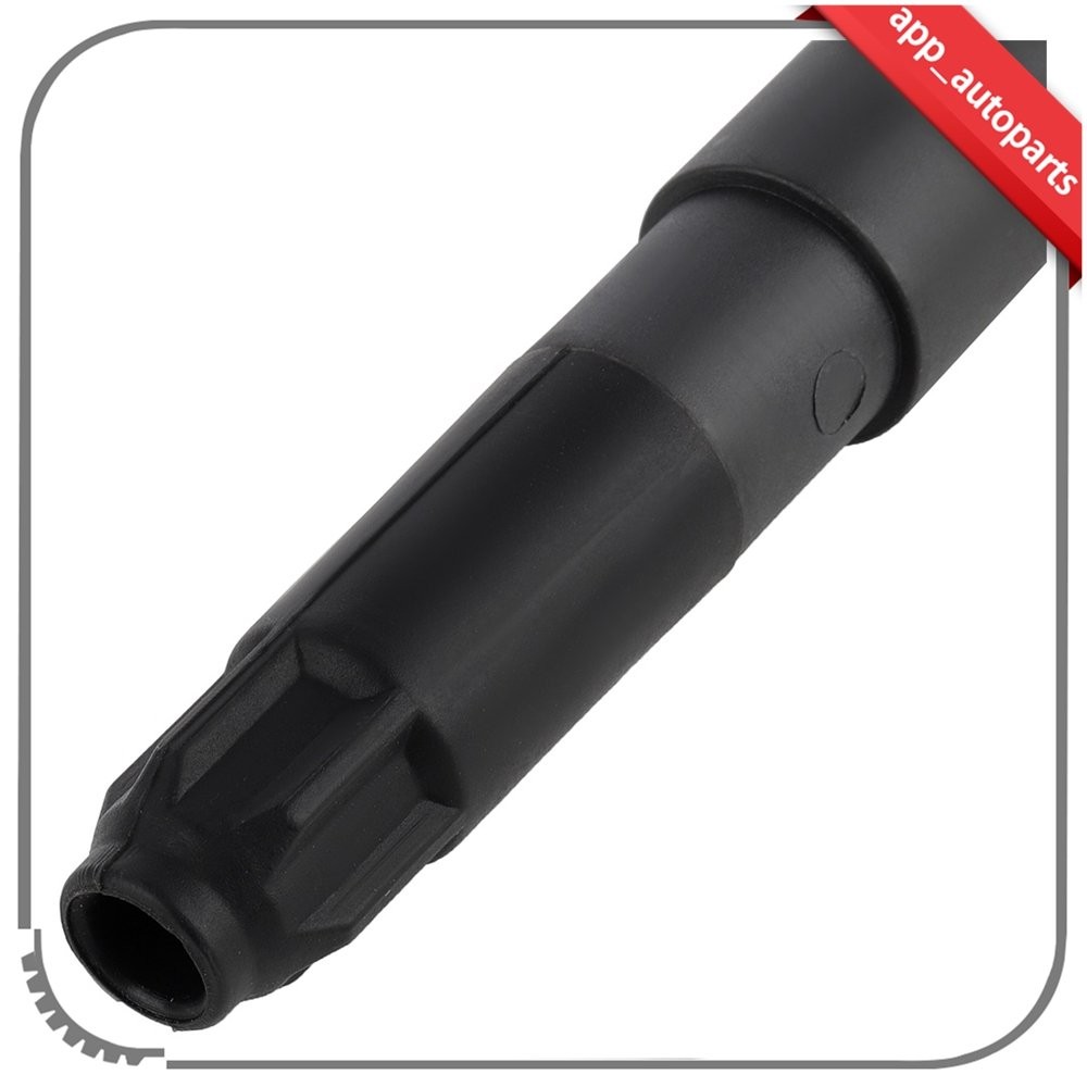 Porsche Carrera GT 2004 Ignition coils Set