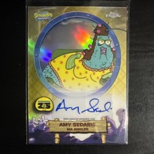 2025 Topps Chrome SpongeBob SquarePants Checklist, 25th Info