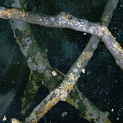 CYCLIC LAW - SAAADON -  LP - Vinyl Record - G3z