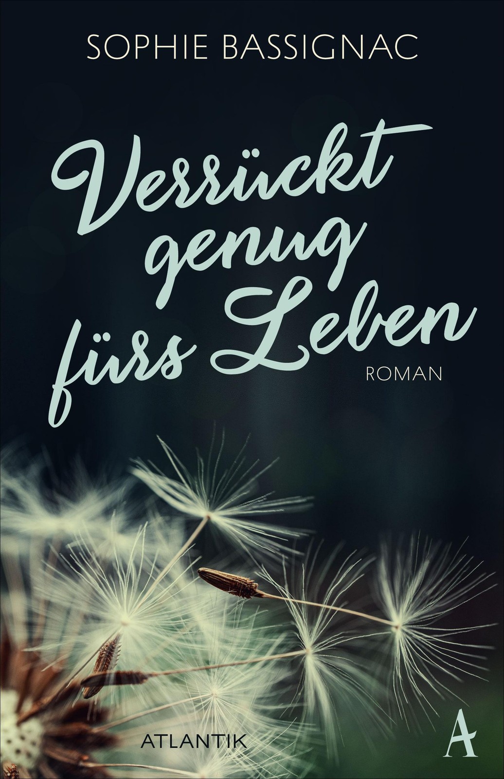 Verrückt genug fürs Leben Sophie Bassignac