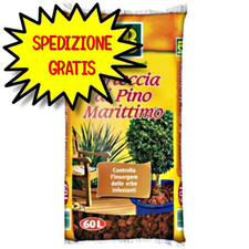 KB CORTECCIA PINO MARITTIMO 25 - 40 MM   60 LT