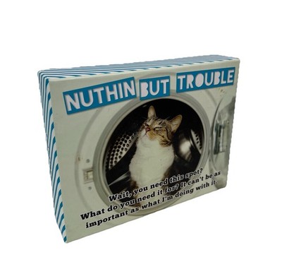 Kitty Cat Graphique Note Cards W/ Envelopes  Nuthin But Trouble  In box 20 New
