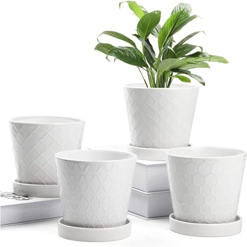 BUYMAX Plant Pots Indoor -5 inch Ceramic Flower Pot with Drainage Hole and Ceramic Tray