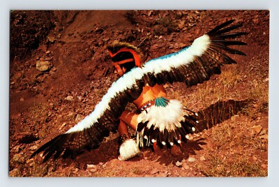 Postcard Native American Indian Eagle Dancer 1960s Unposted Chrome