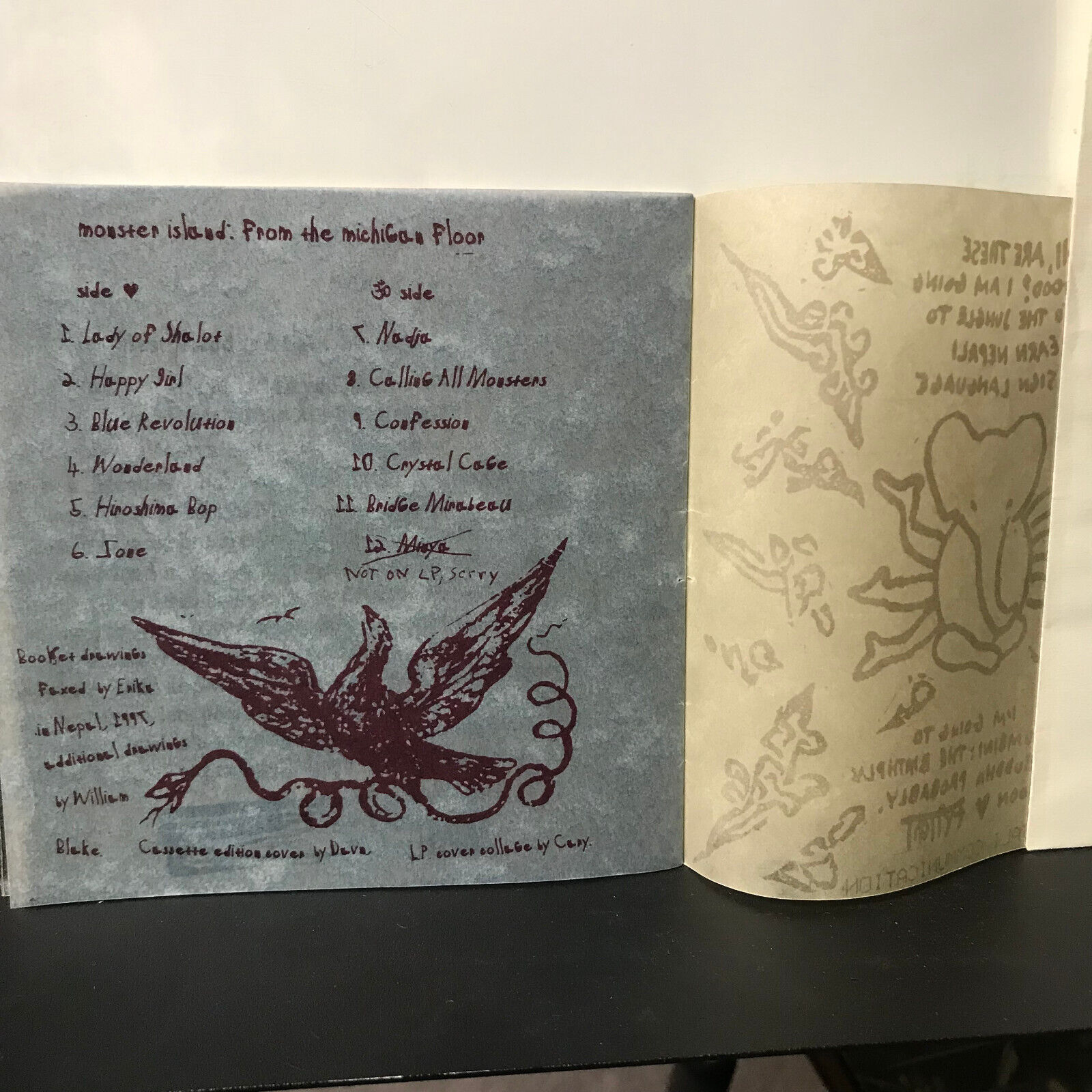 Picture 10 of 20