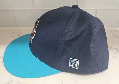 Traverse City Pit Spitters The Game Alternate Cork Dorks Fitted Hat Medium - Picture 3 of 7