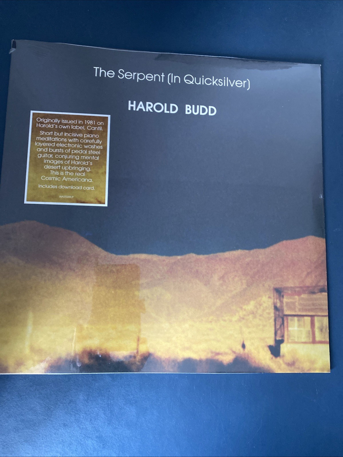 Harold Budd The Serpent In Quicksilver Lp Vinyl Record 2013 Sealed Repress