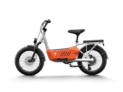 Himiway C3 Cargo Electric Bicycle 48V 750W 20 MPH Torque Sensor 20'' Fat Tire New