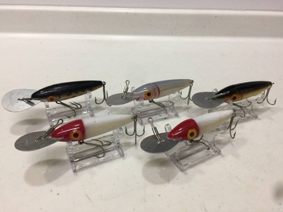 GUDEBROD BUMP''N'' GRIND 5-teiliges Set Golden Eye Old Cbait KJ1T19