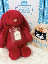 Bashful Cerise Bunny - Medium Jellycat | Jelly Journal