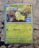 Pokémon Chikorita 069 Holo Mega Evolutions Black Star Promo Mint Condition