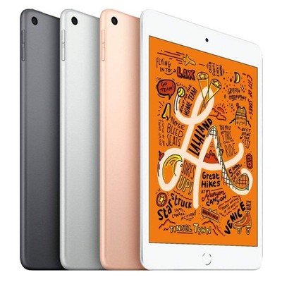 Apple iPad mini (5th Gen) 256GB (Wi-Fi + 4G LTE) 7.9in