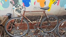 raleigh magnum vintage bike