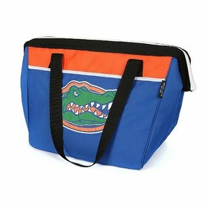 california innovations high performance thermal tote