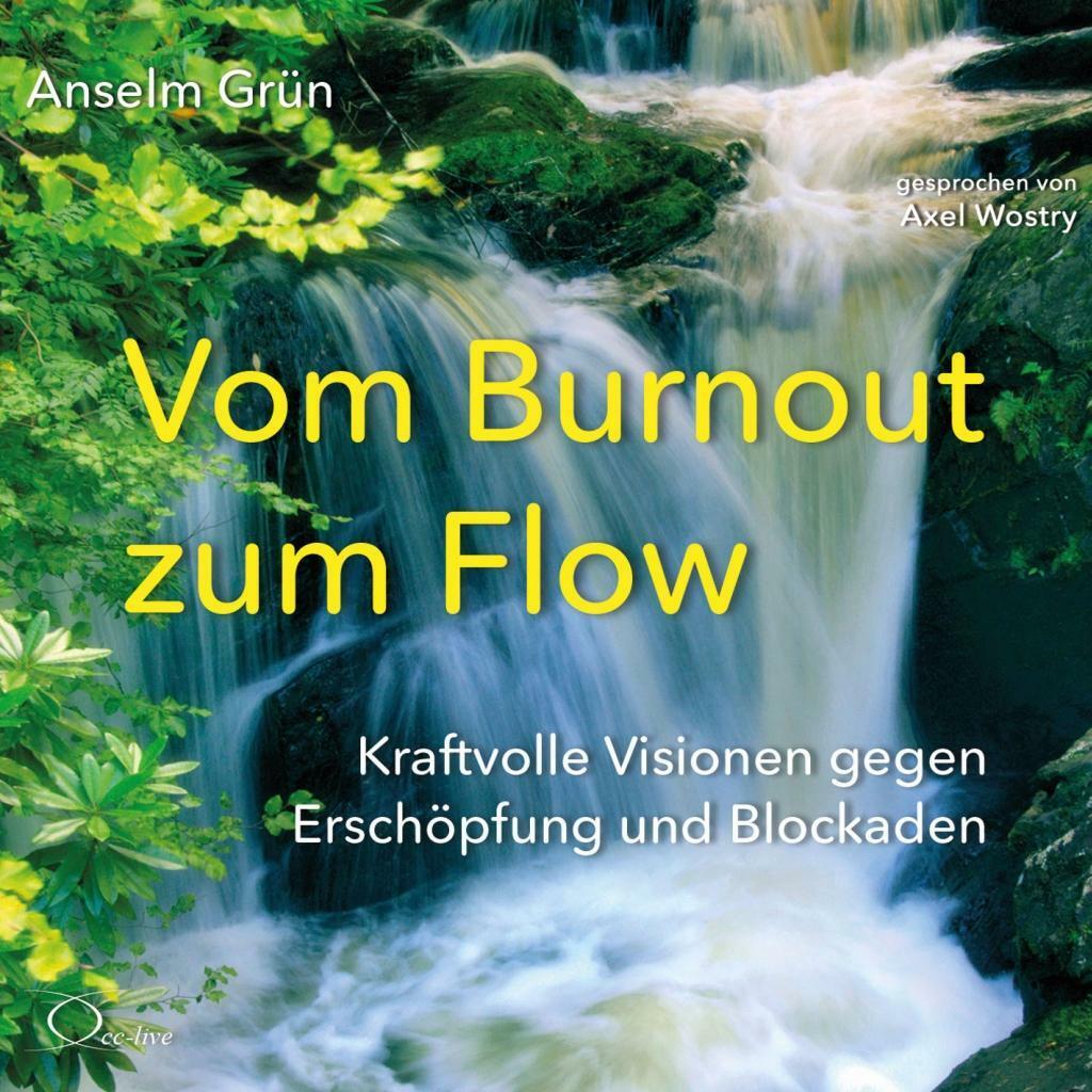 Thumbnail - Vom Burnout Zum Flow | Hã¶rbuch | 9783956164637