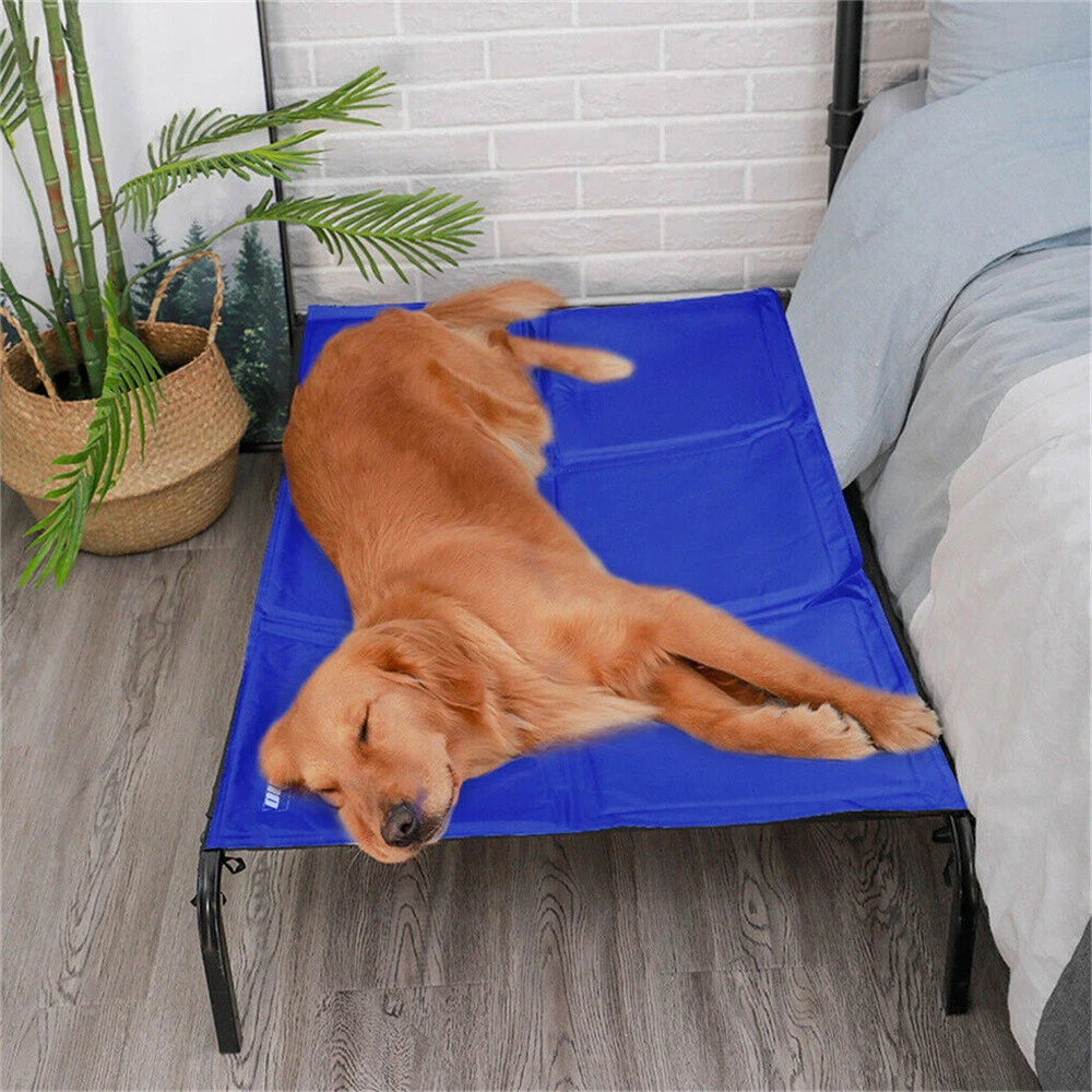 Canine on sale cooler large