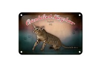 Blechschild Katze 18X12 Cm Orientalisch Kurzhaar England Deko Schild