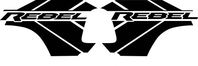#ad Compatible With DODGE RAM REBEL.. Bed and Hood VINYL DECALS PKG deal $141.70