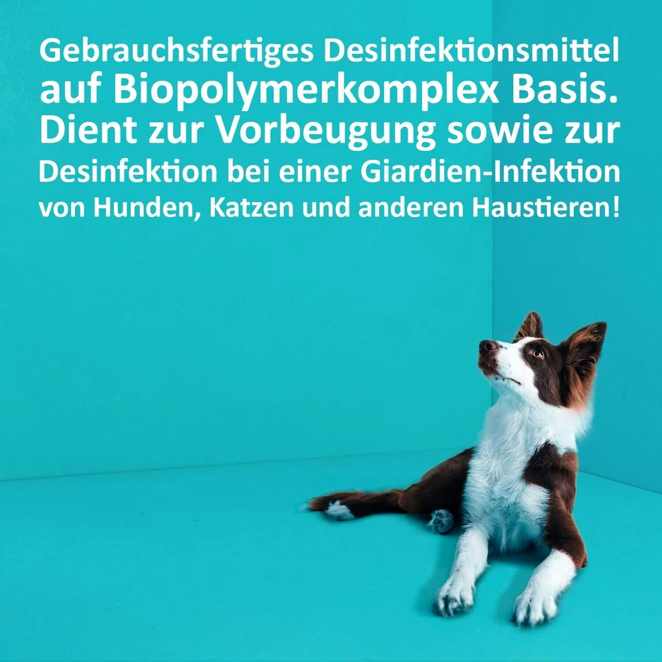 Giardien Spray schützt Hund Katze Hygiene Spray gegen Bakterien Viren Pilzen - Bild 4 von 4