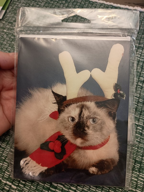 2 New Packages Of Cat Christmas Cards With Envelopes, Total 12 Cards/Envelopes