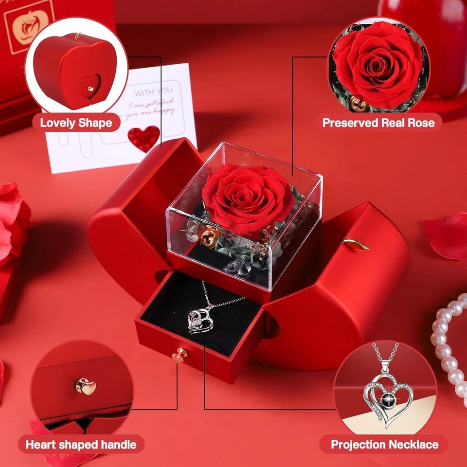 保存玫瑰盒带我爱你项链100种语言,送给她的红色礼物  — 第 2/4 张图片