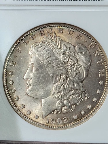 1902 O $1 Morgan Dollar ANACS Soapbox MS61 Toned #2495033