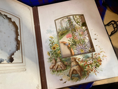 c.1890 Musical Photo Album “The Regina Album” in Gilt Brown Leather, for restore - Picture 24 of 24