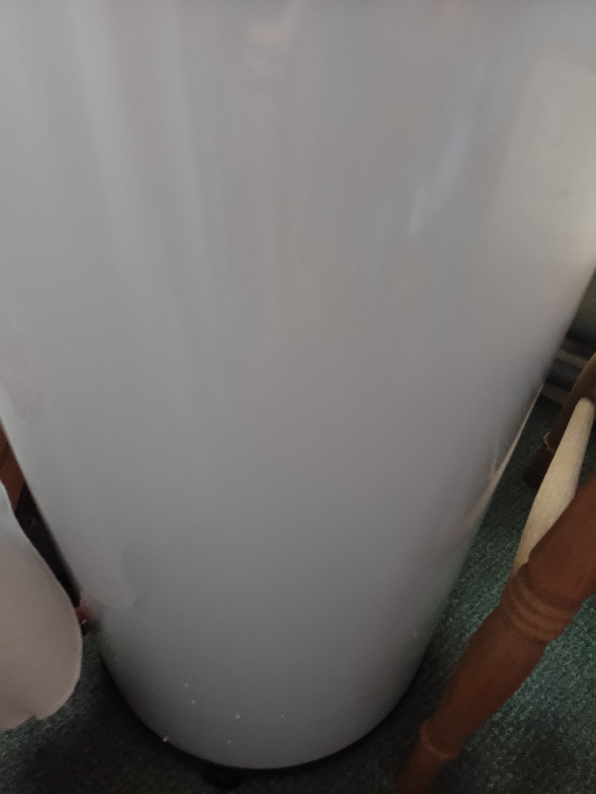 Leisurewize Spin Dryer eBay