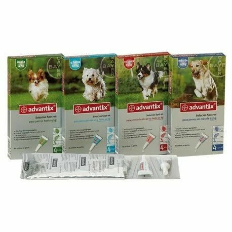 Pipetas antiparasitarias para perros