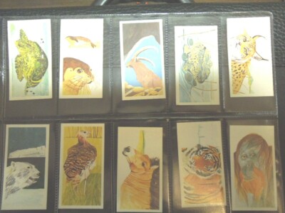 1978 Brooke Bond Tea  VANISHING WILDLIFE  wolf  tigers card Trading 40 cards 
