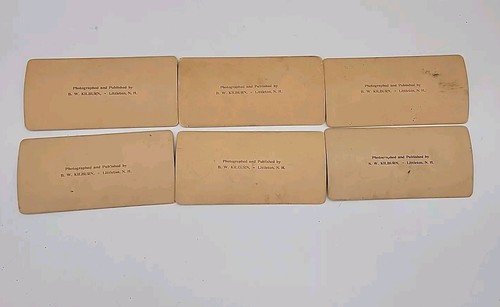 Chief Stereoscope & 15 View Cards B.W. Kilburn 1885-1898 Views Around The World - Picture 15 of 18