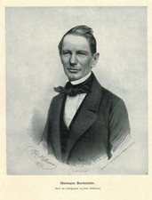 Retrato de Carl Hermann Conrad Burmeister