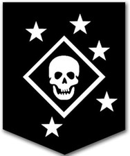 Officially Licensed Skull and Stars Logo Sticker, 3x4 Inch