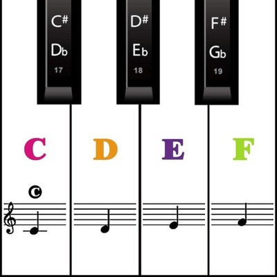 Klavier Keyboard Aufkleber Für 54/61 / 76/88 Tasten Noten Piano Sticker Für Weiß
