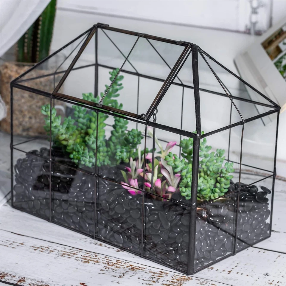 Stylish Indoor Plant House - Black Glass Terrarium with Moisture Control Lid - Image 4 of 4