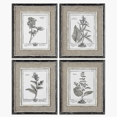 Botanical Framed Wall Art Casual Grey Study Flower Print Set ~ Uttermost 32510